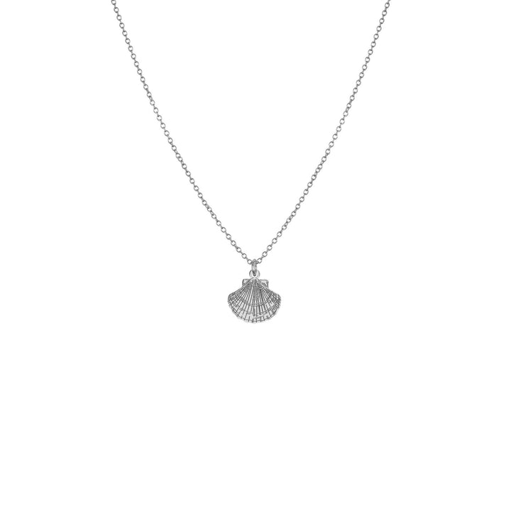 Collier coquillage gravé/ CP-25004 / Lost & Faune