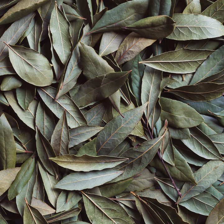 Diffuseur à roseaux / Eucalyptus + Lichen